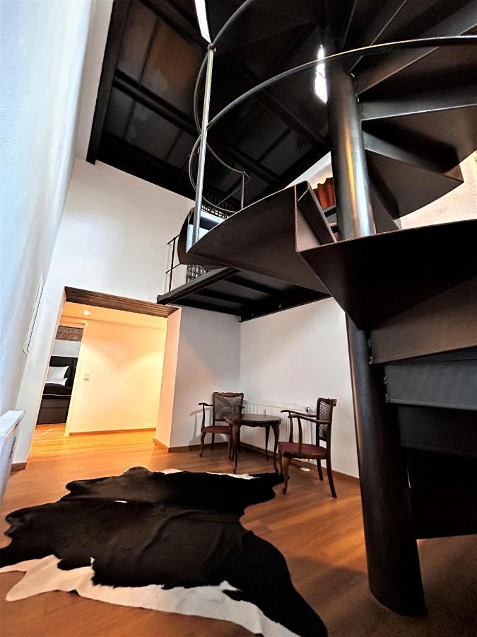 Historical Luxury Homes - Luxus Familien Suite Friburgo em Brisgóvia Exterior foto